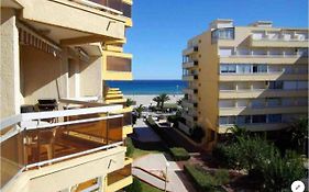Canet Plage T2 lumineux 50m de la mer. Vue Mer/Montagne .